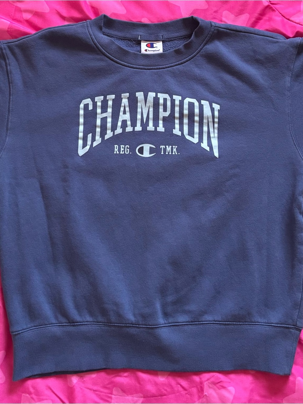 Champion Pullover Sweatshirt
Size Medium